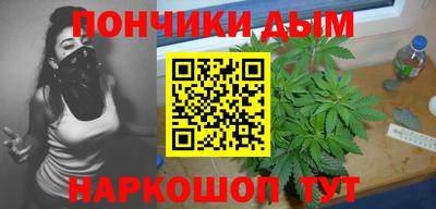 индика Северобайкальск