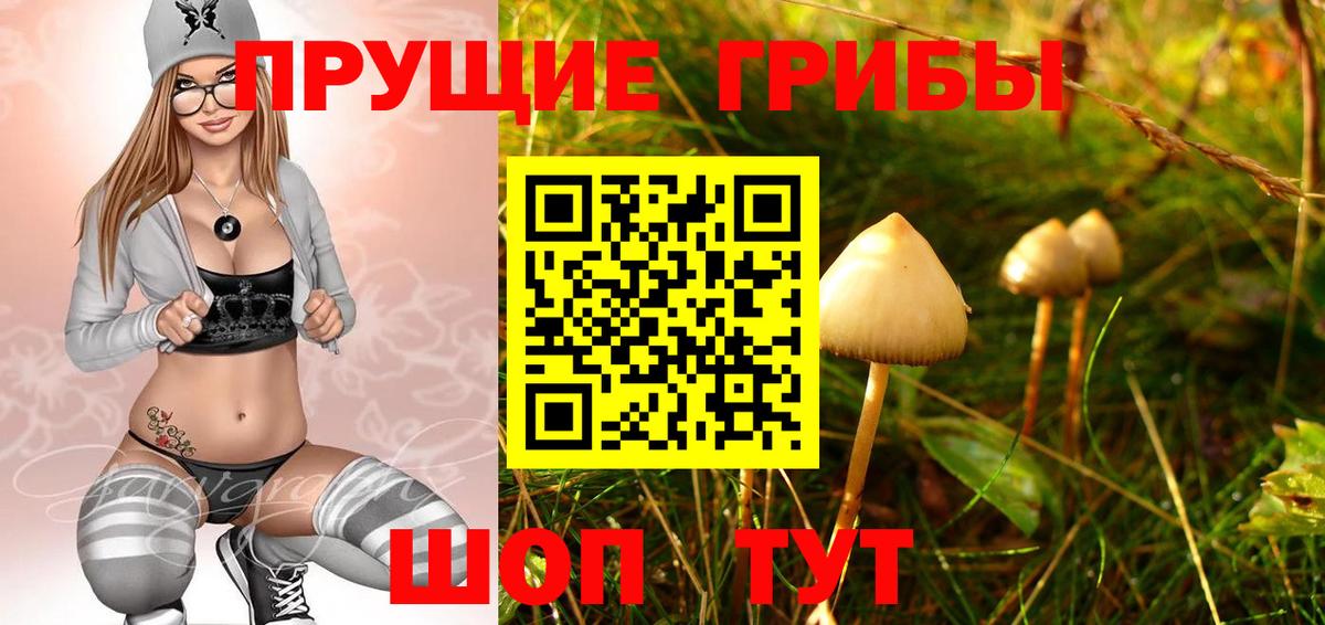 Псилоцибиновые грибы Magic Shrooms Орск