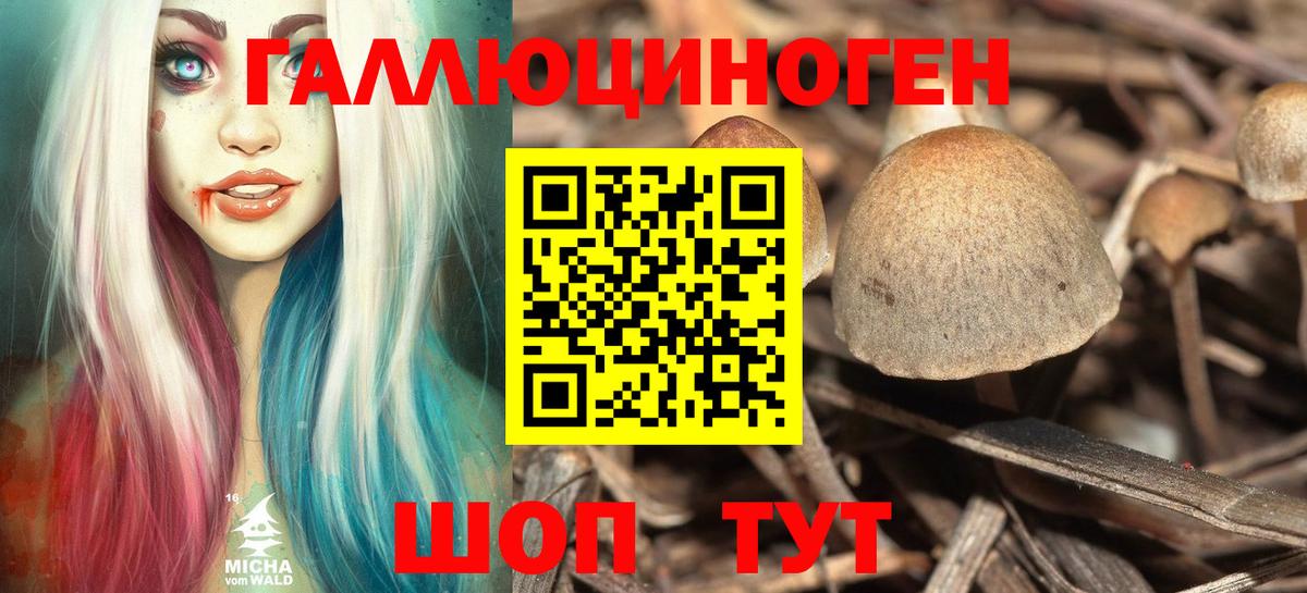 Галлюциногенные грибы MAGIC MUSHROOMS  хочу   Орск  Вход с VPN 